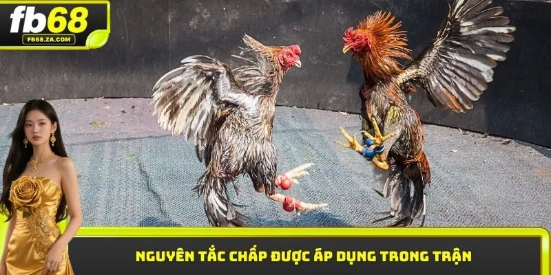 Nguyên tắc chấp được áp dụng trong trận